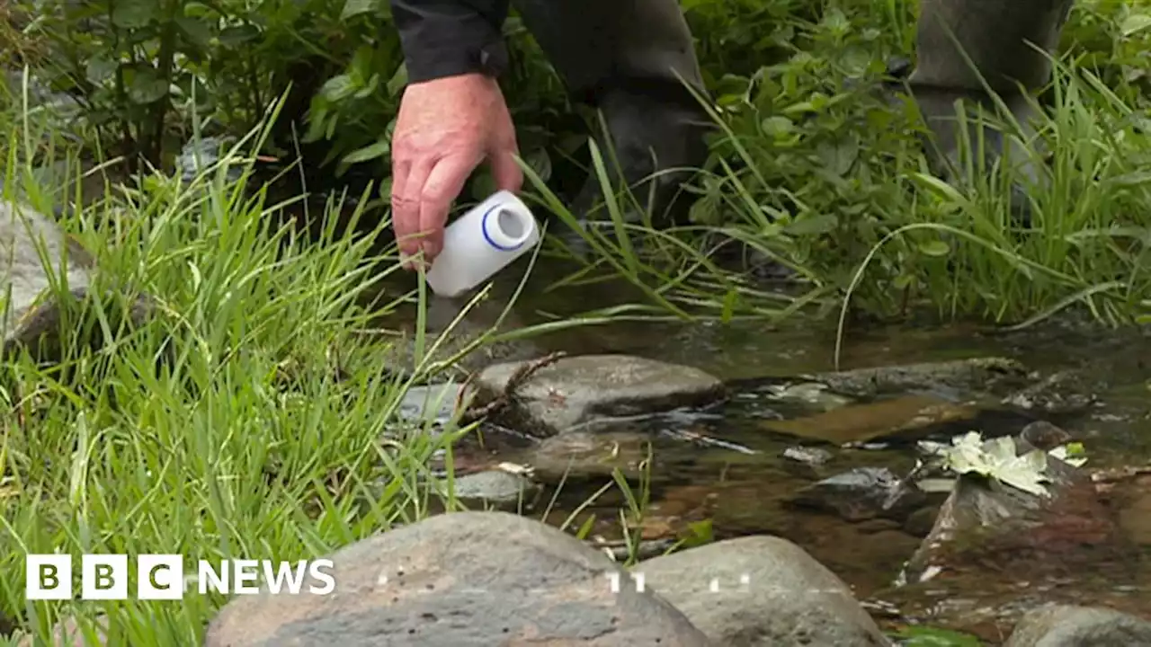 Expert calls for extra funding to reduce Yorkshire river pollution