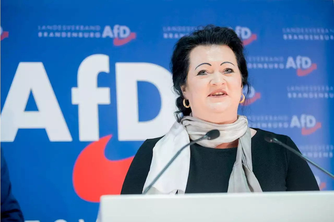 AfD in Brandenburg: Mit Birgit Bessin und Kampfansage früh in den Wahlkampf