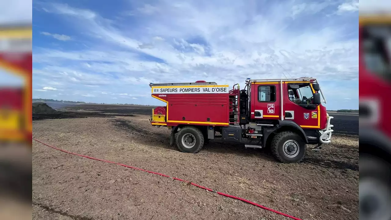 Val-d'Oise: un incendie ravage 73 hectares de récoltes, 60 sapeurs-pompiers sur place