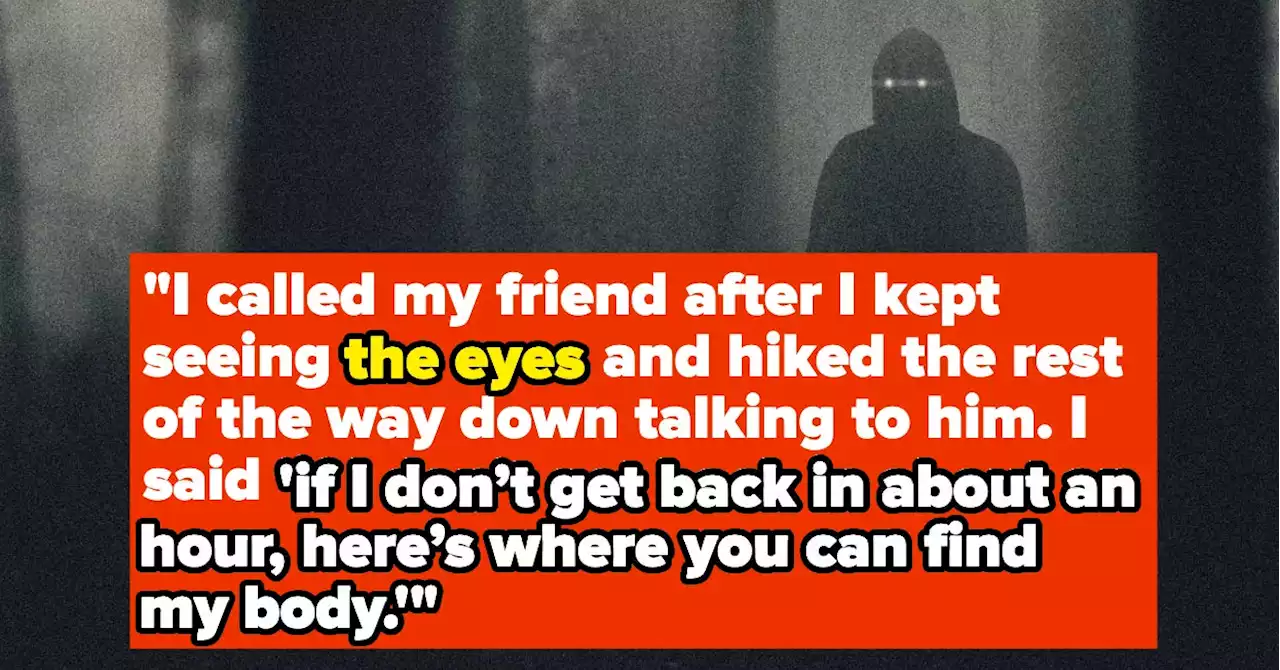 People Are Revealing Their Most Haunting Experiences In The Woods, And It's Beyond Terrifying