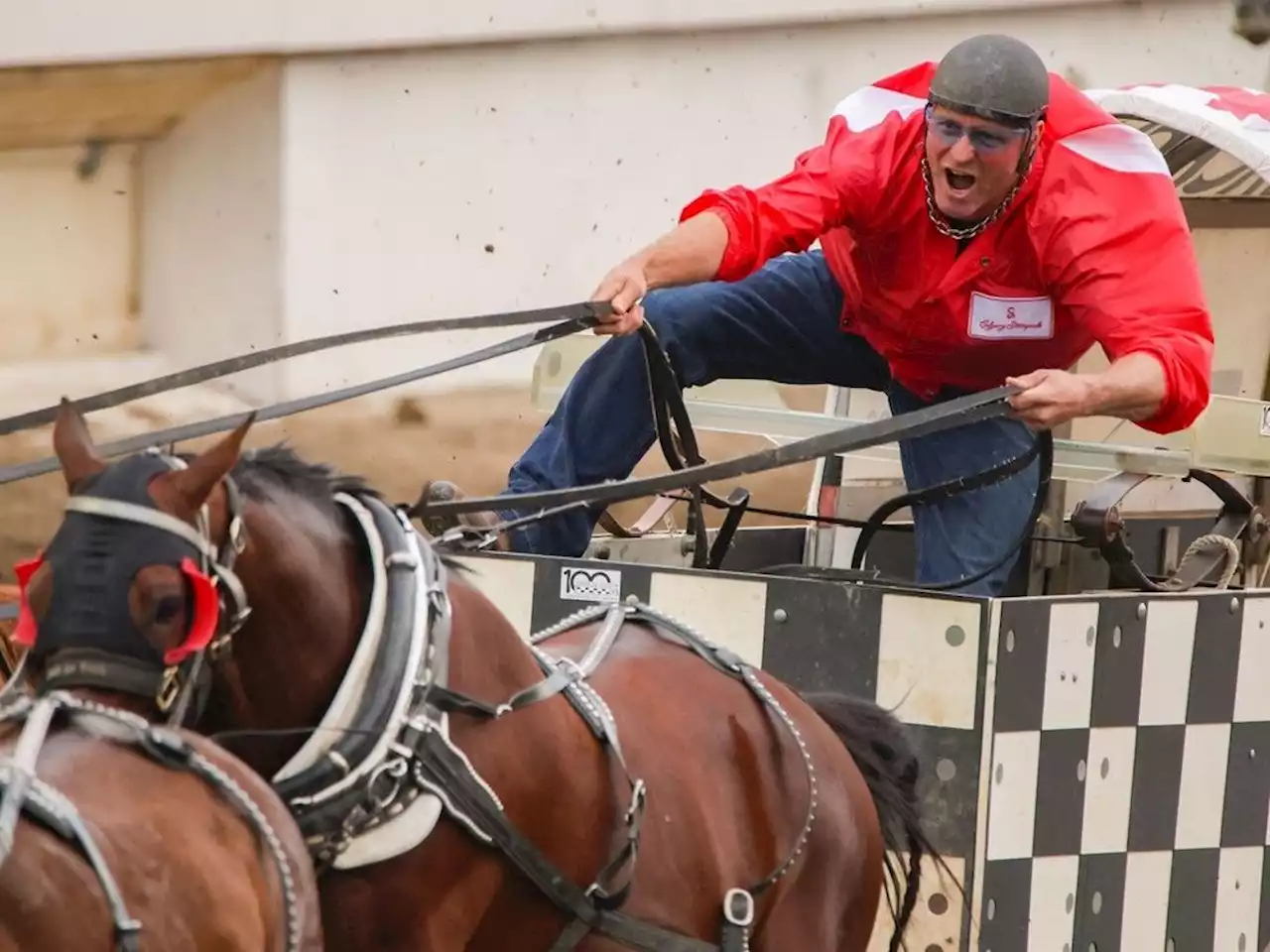 'Our family has always put the horses first': Jason Glass carries on chuckwagon racing legacy