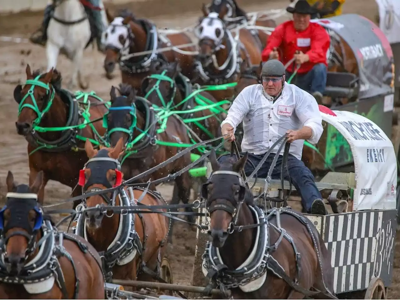 'Our family has always put the horses first': Jason Glass carries on chuckwagon racing legacy