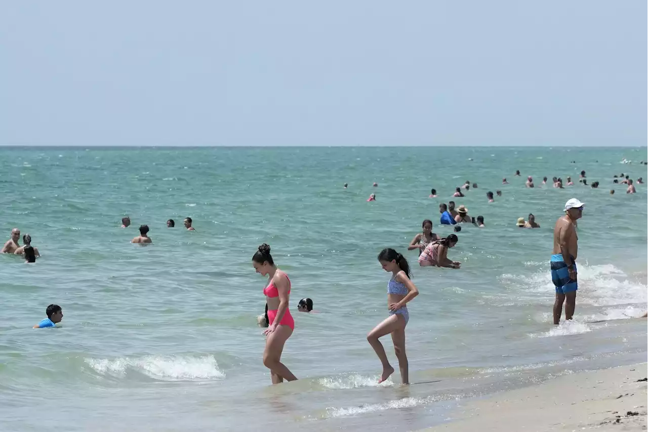 'WORRYING NEWS': Florida in hot water as ocean temperatures rise along with humidity