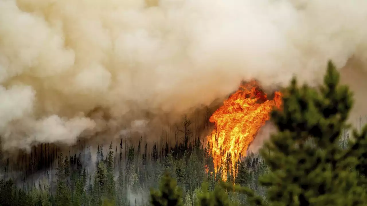 More evacuation orders and alerts as number of wildfires in B.C. keeps climbing