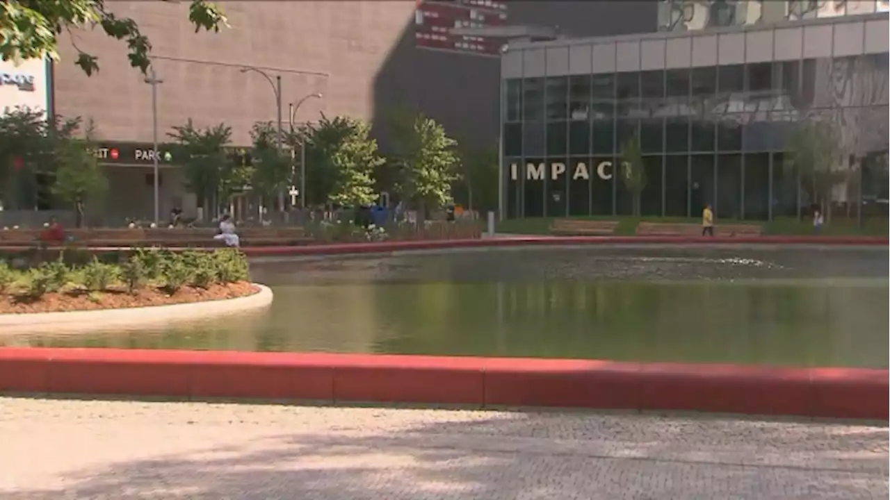 Water in heart-shaped pond at Toronto's most romantic park turns scummy green