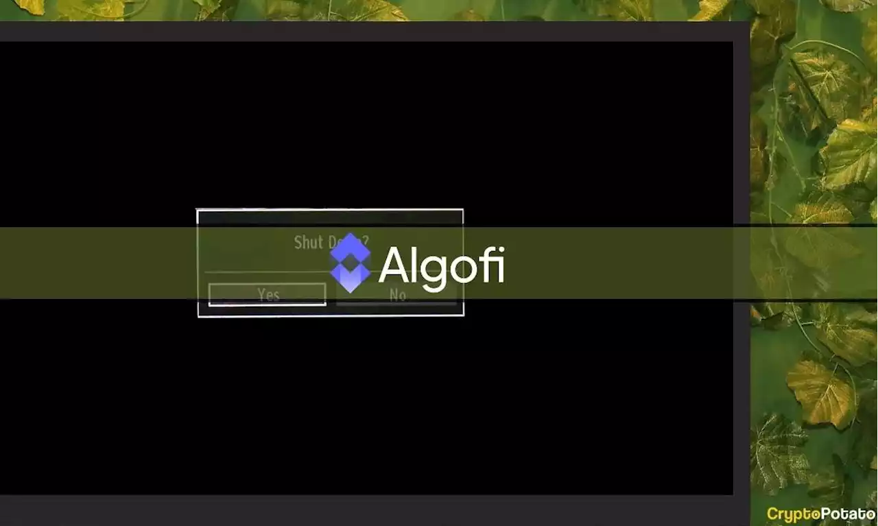 Algorand's Largest DeFi Protocol Shutting Down Operations