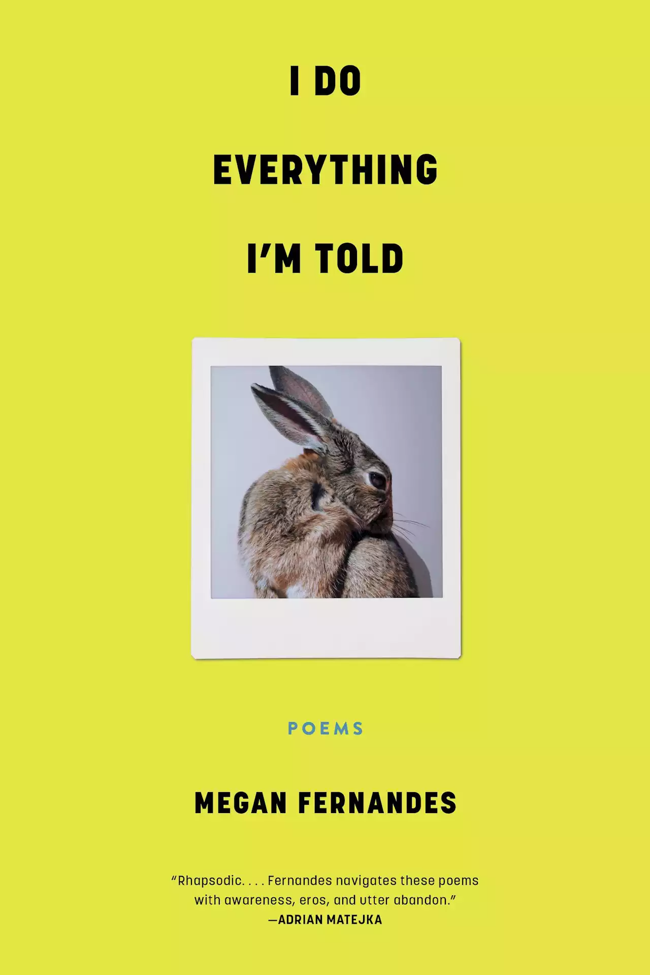 Book review: Erudite but accessible, Megan Fernandes' new book will turn poetry agnostics into fans