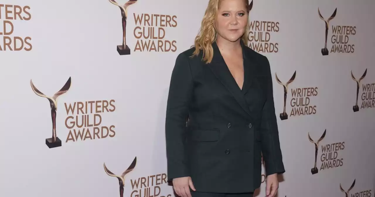 Amy Schumer left Barbie because project lacked feminist vision