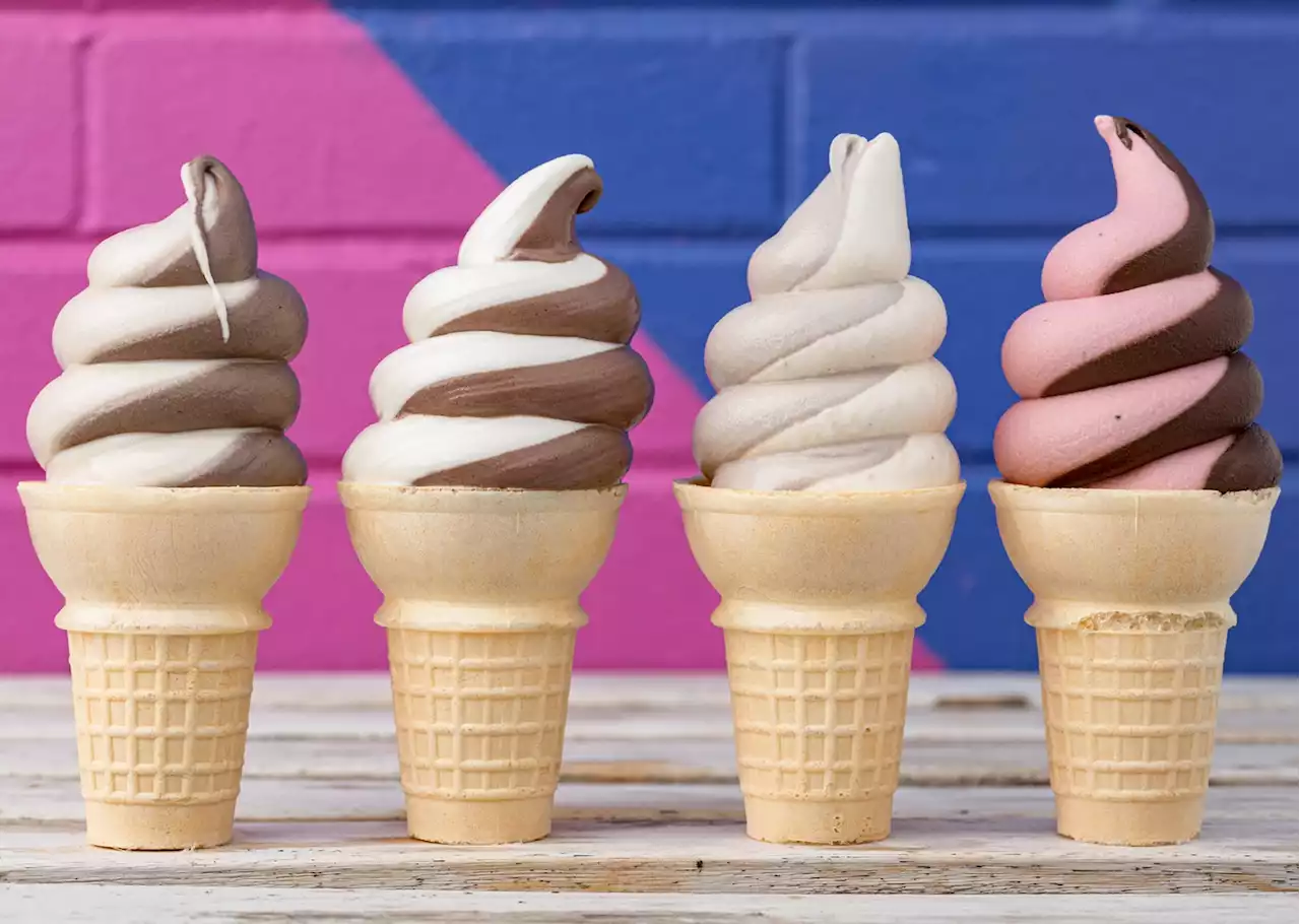 I Scream, You Scream, We're Screaming for More Soft-Serve Ice Cream