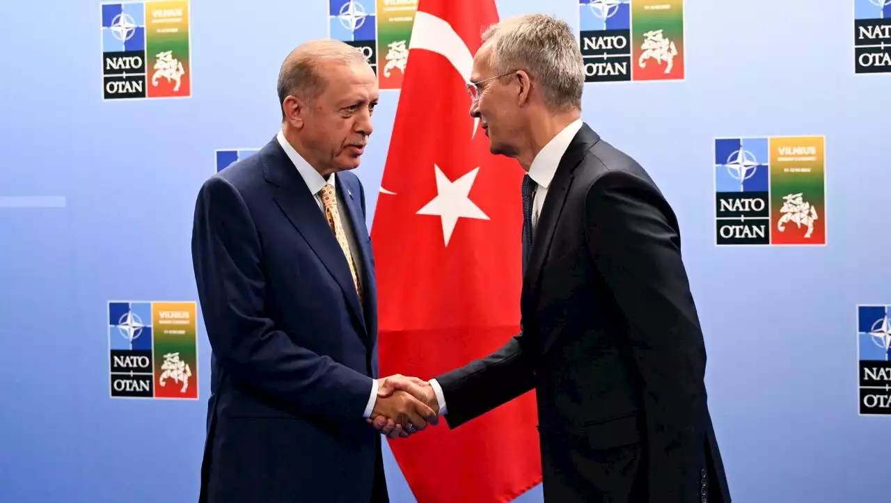 (S+) Erdoğan gibt grünes Licht für Schwedens Nato-Beitritt - doch zu welchem Preis?