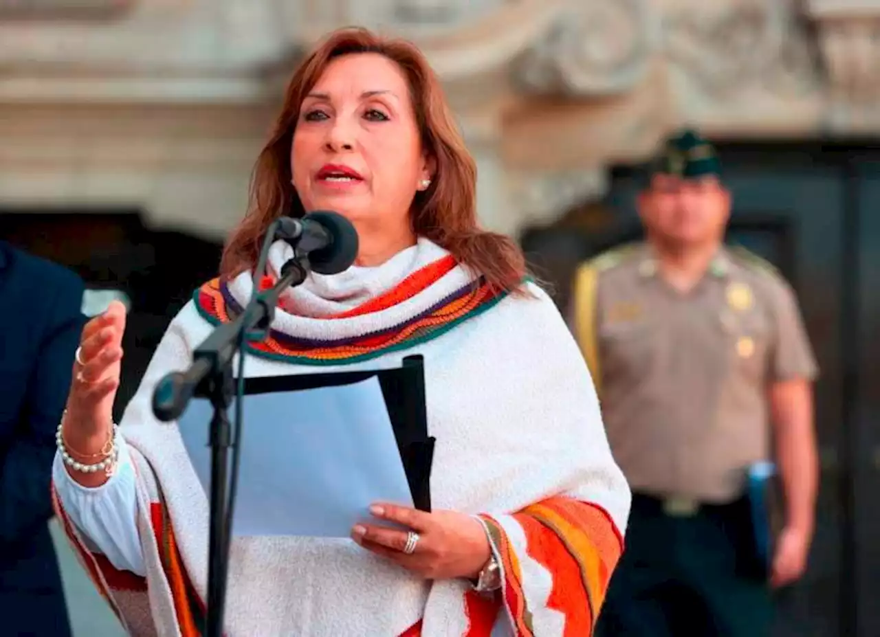 Presidenta de Perú está siendo señalada por plagio: habría copiado más de la mitad de un libro del que es coautora