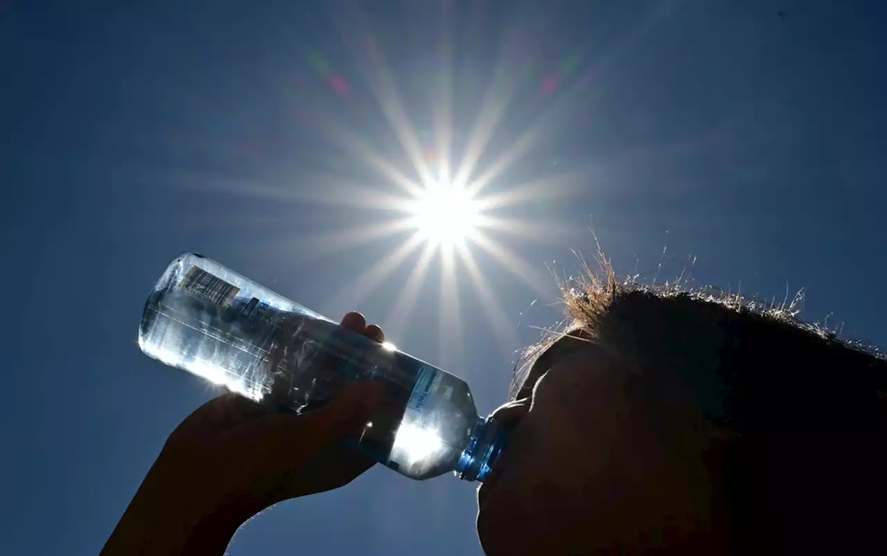 Ola de calor pone en alerta al suroeste de Estados Unidos