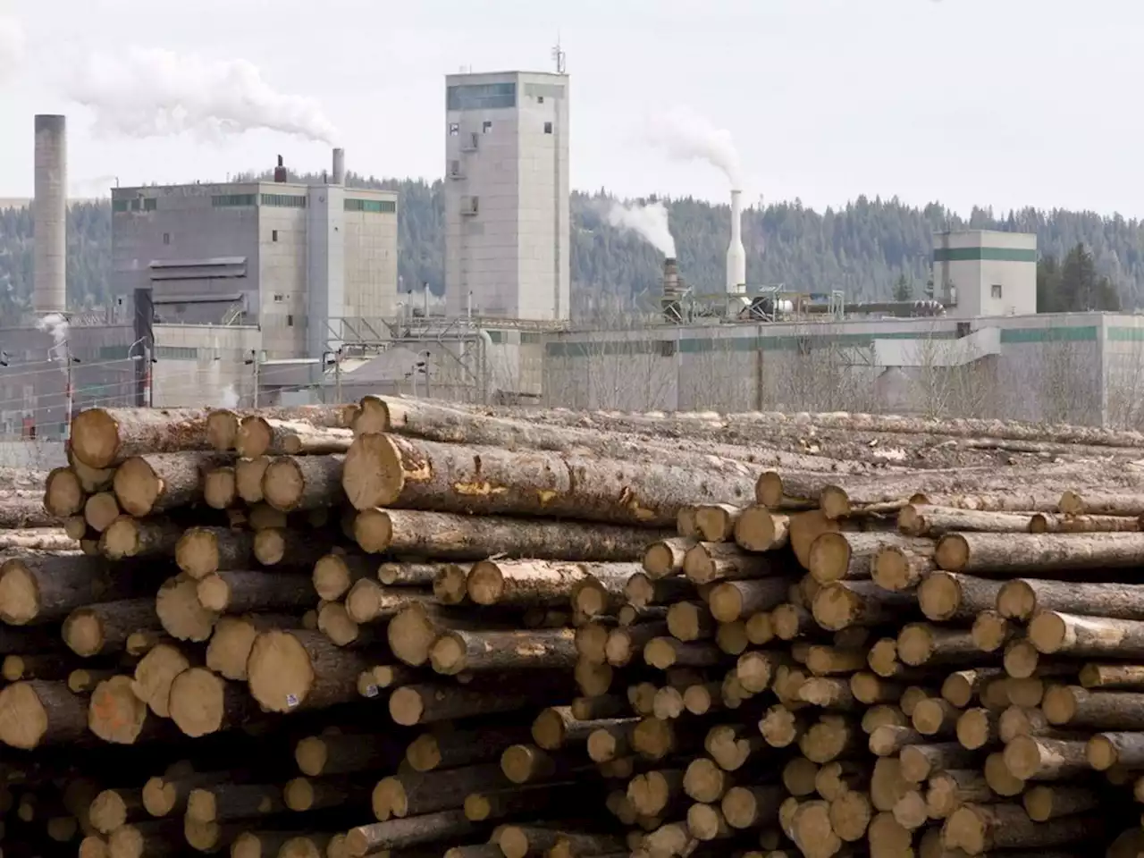 West Fraser Timber selling kraft pulp mill in Alberta to Mondi Group