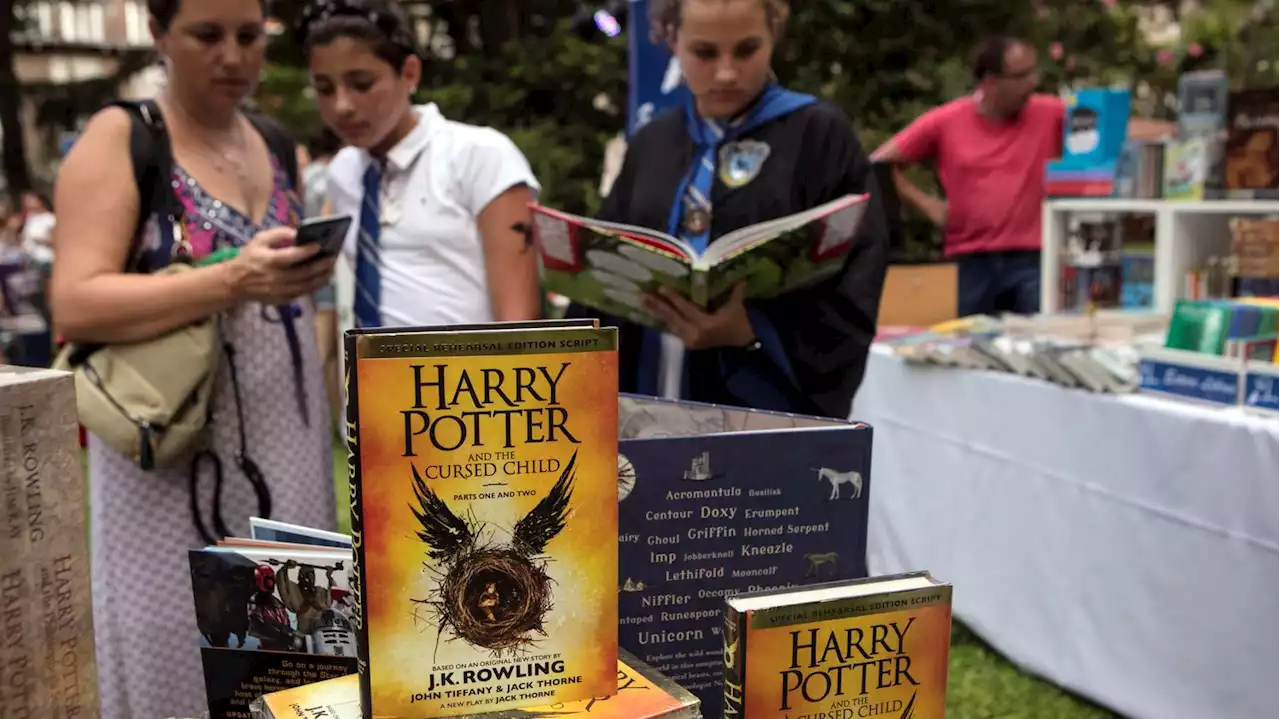 Un exemplaire de la première édition d'Harry Potter vendu aux enchères à 12 300 euros