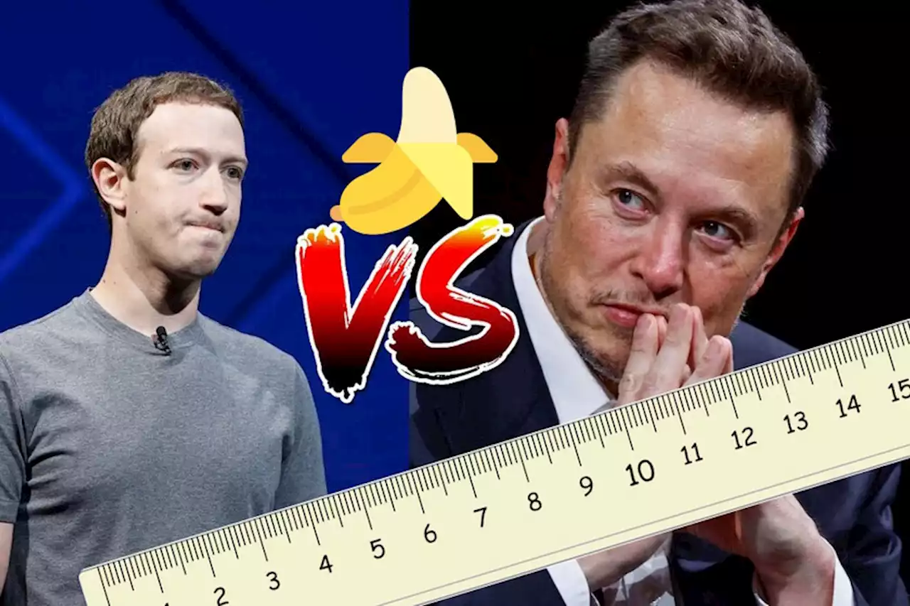 El asunto de Twitter vs. Threads se va de las manos y llega a los penes: Elon Musk propone que él y Zuckerberg se los midan. En serio