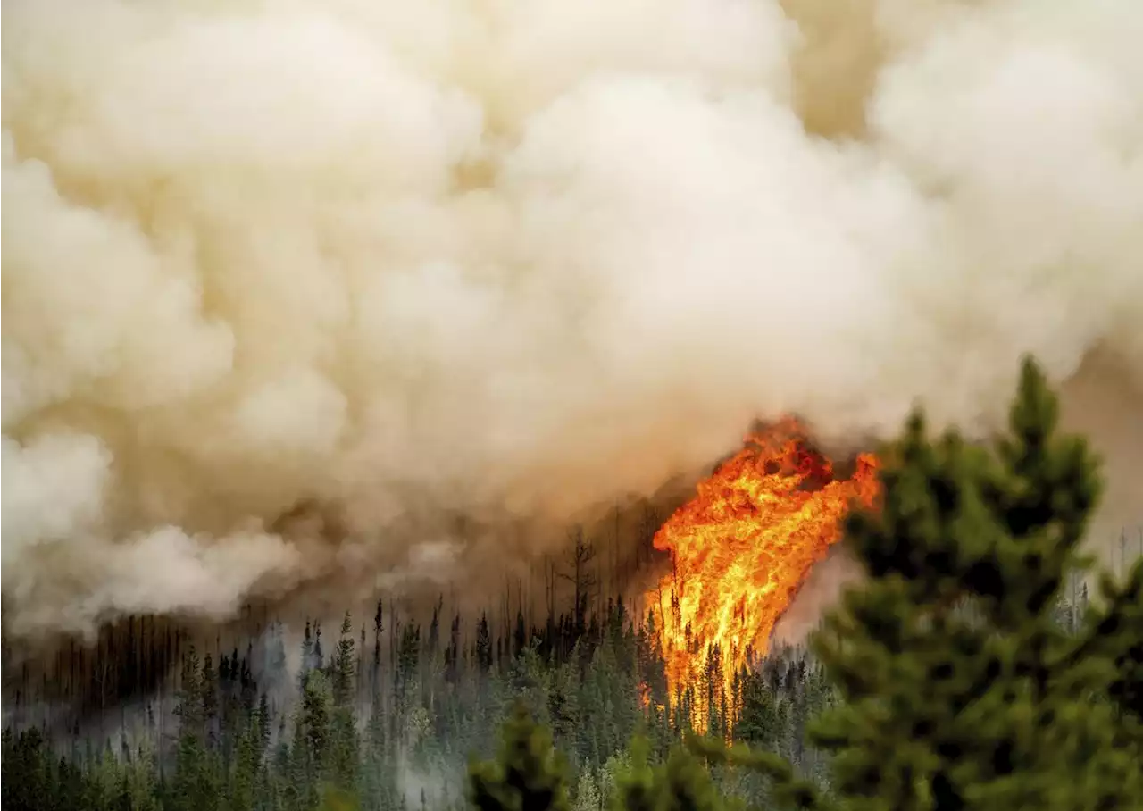 More evacuation orders and alerts as number of wildfires in B.C. keeps climbing