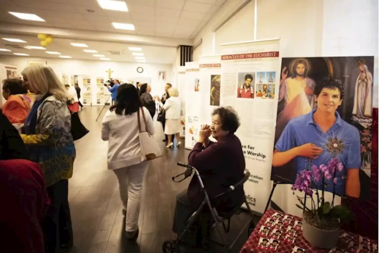 Blessed Carlos Acutis’ eucharistic miracles exhibit goes to Hollywood