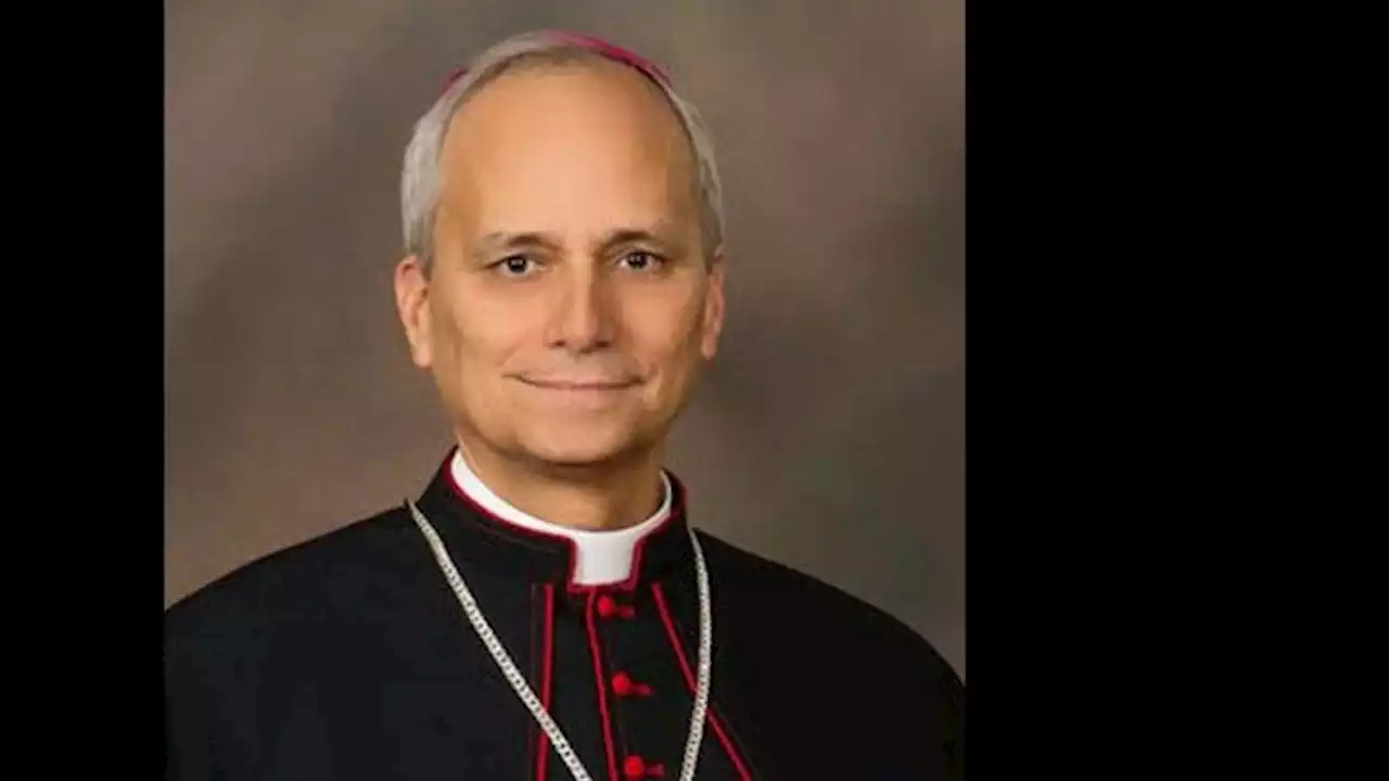 Cardinal-designate Prevost sees new role as a way towalk together