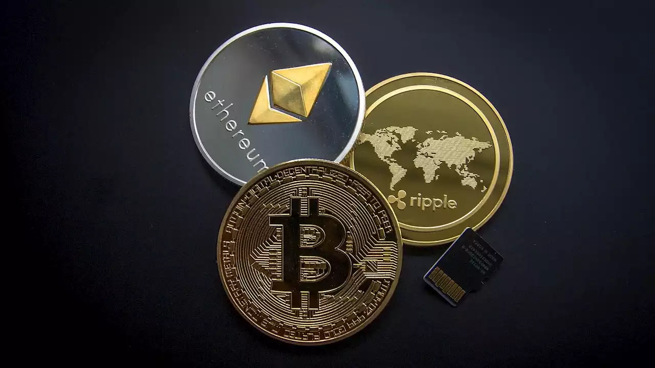 Cold crypto wallet phishing scams spread across the internet - htxt