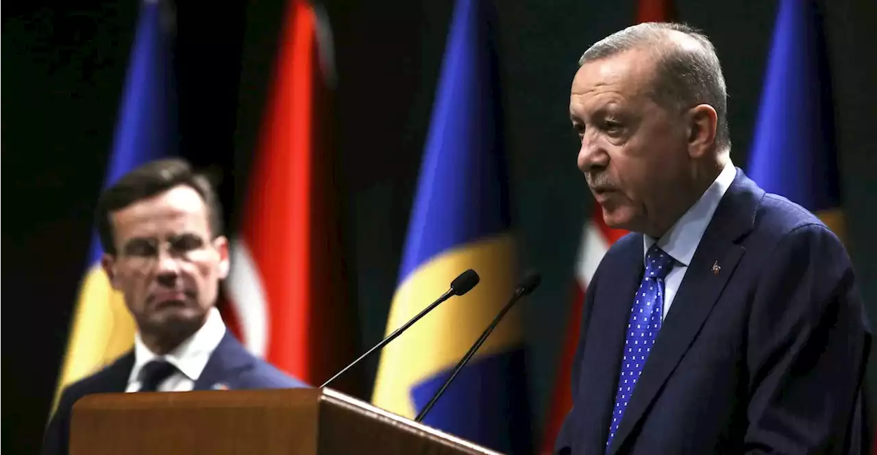 Cosa ha ottenuto Erdogan per far entrare la Svezia nella NATO? - Il Post