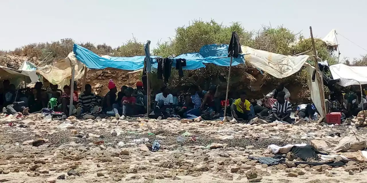 La Tunisia ha abbandonato centinaia di migranti in mezzo al deserto - Il Post