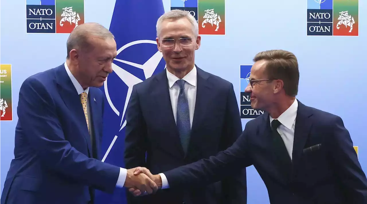 La Turchia sosterrà l'adesione della Svezia alla NATO - Il Post