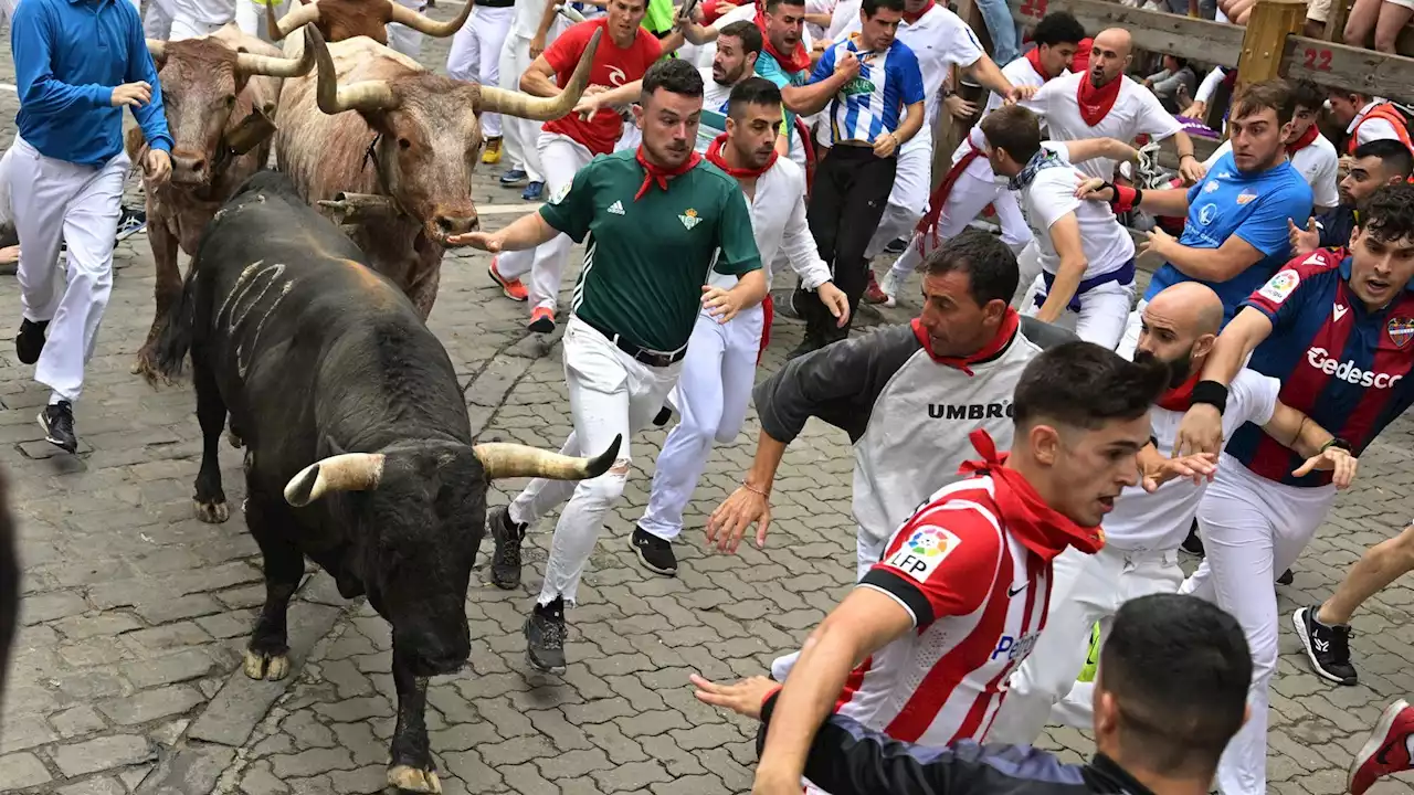 El quinto encierro de San Fermín 2023 con toros de Núñez del Cuvillo, muy rápido y limpio