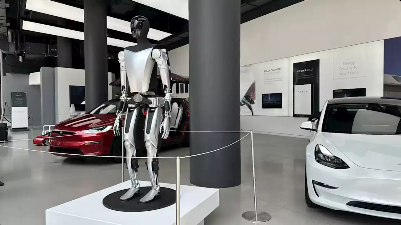 Tesla's robot 'Optimus' arrives in a Tesla Store in New York