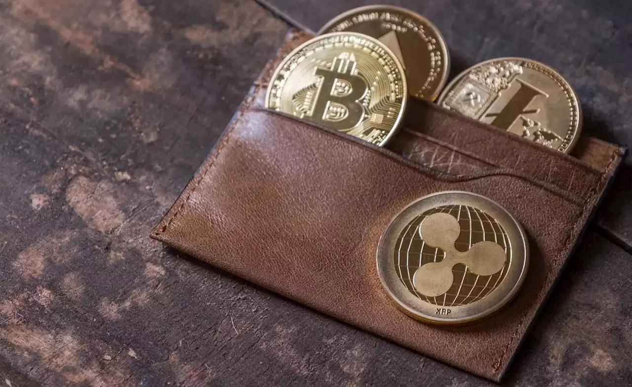 Cybercriminals targeting crypto users - IT-Online