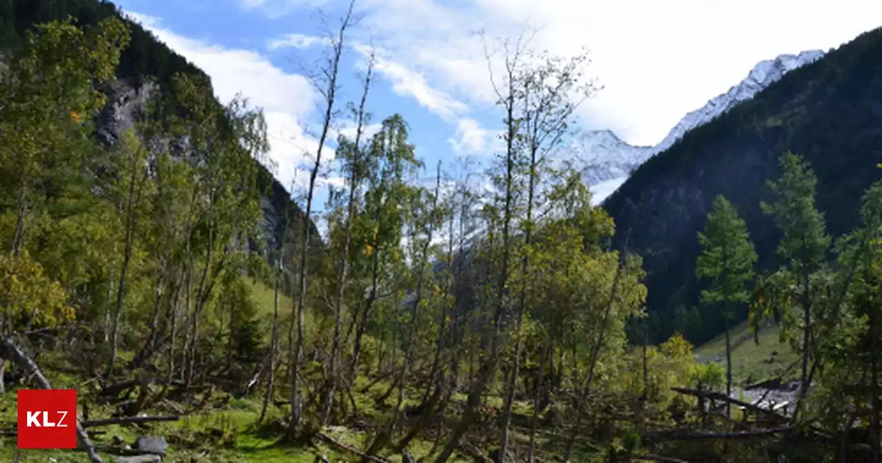 Naturschutzgebiete: Österreich hinkt EU-Biodiversitätszielen hinterher