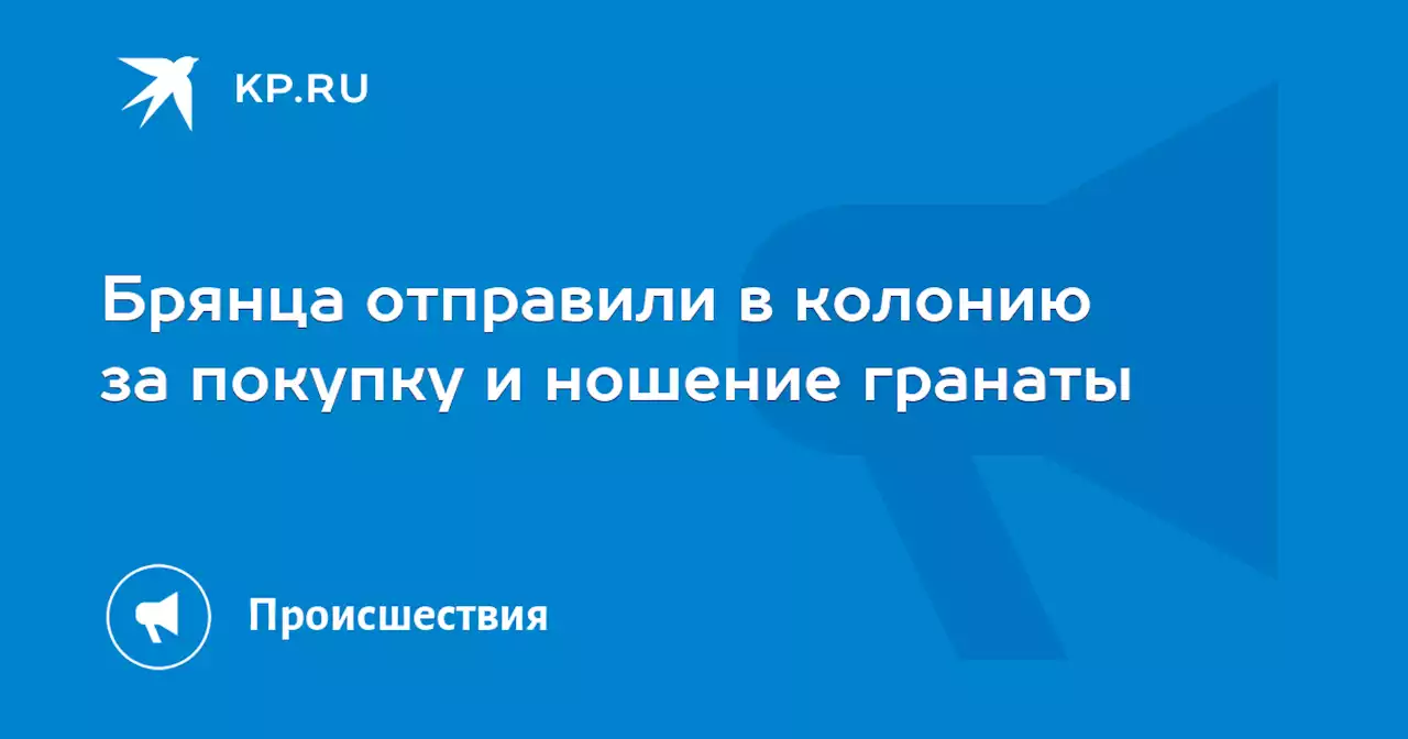 Брянца отправили в колонию за покупку и ношение гранаты