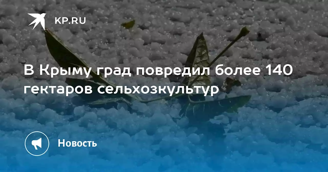 В Крыму град повредил более 140 гектаров сельхозкультур