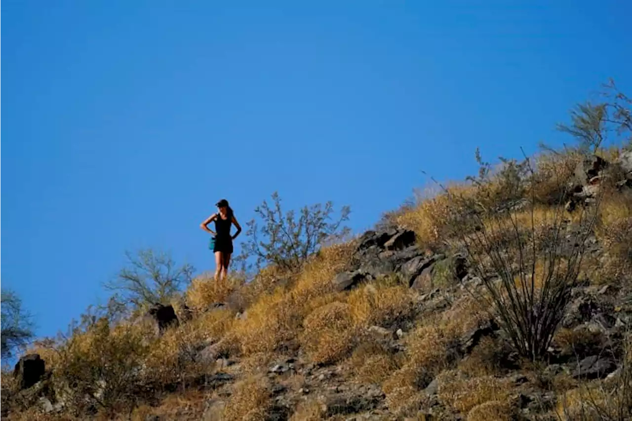 How extreme heat takes a toll on the mind and body, according to experts