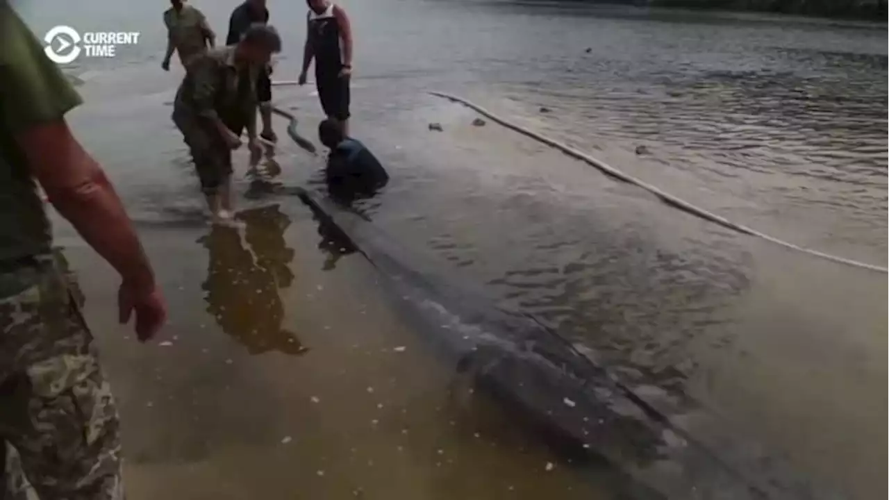 Ukrainian dam explosion leads to discovery of 500-year-old boat