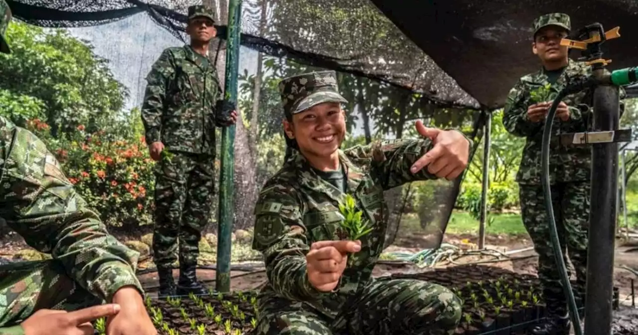 Servicio militar en Colombia: Ejército incorporará a más de 15.000 hombres y mujeres