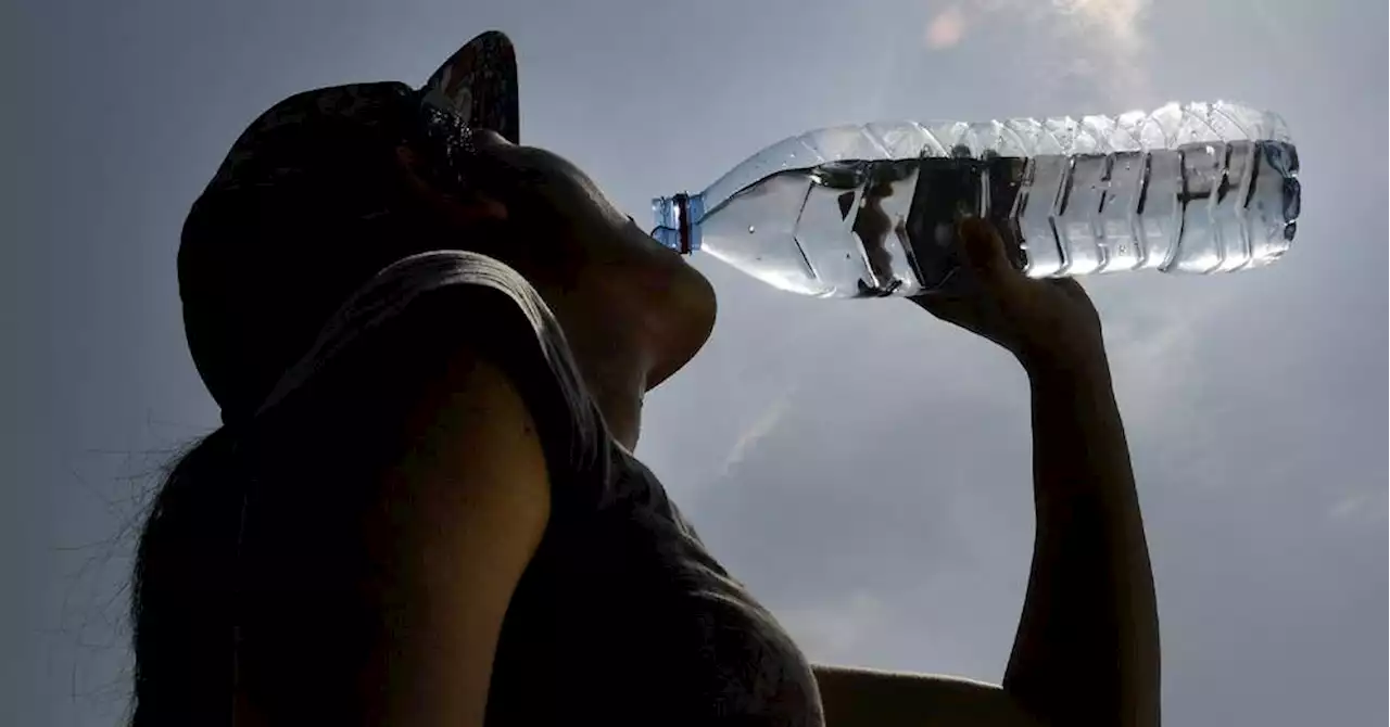 Météo en Provence : un grand soleil et une chaleur écrasante ce mardi