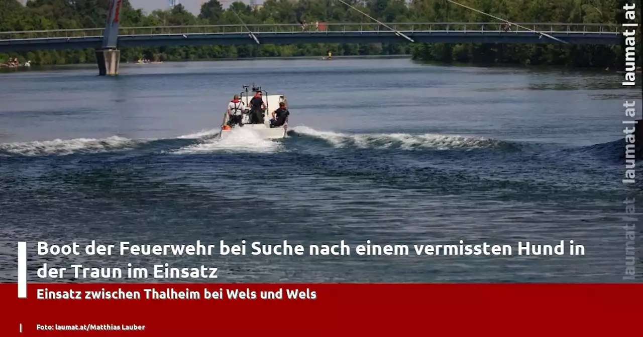 Boot der Feuerwehr bei Suche nach einem vermissten Hund in der Traun im Einsatz | laumat|at