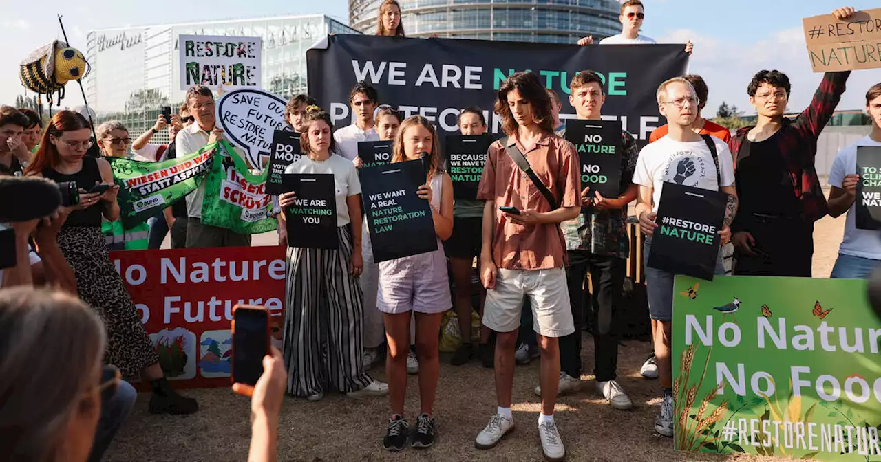 Loi «restauration de la nature» : au Parlement européen, un vote dans un climat électrique