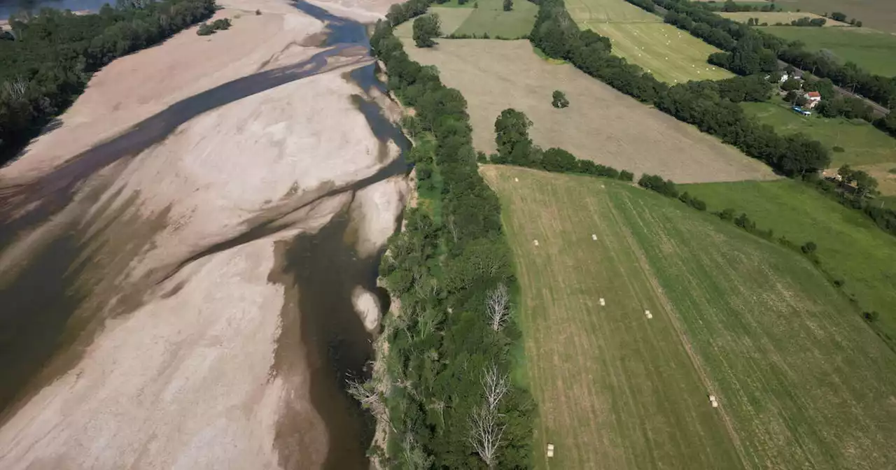 Sécheresse : plus des deux tiers des nappes phréatiques sont sous les normales de saison