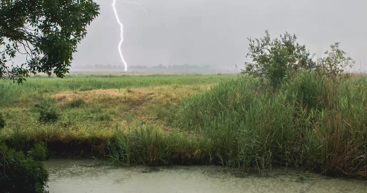 «Un orage, c’est beaucoup d’incertitude» : dans le nord-est, cinq départements en alerte rouge