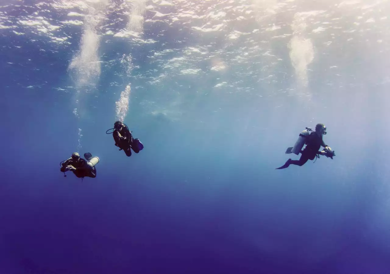 Questione di equilibri | La massificazione del turismo subacqueo e la necessità di un cambio di paradigma - Linkiesta.it