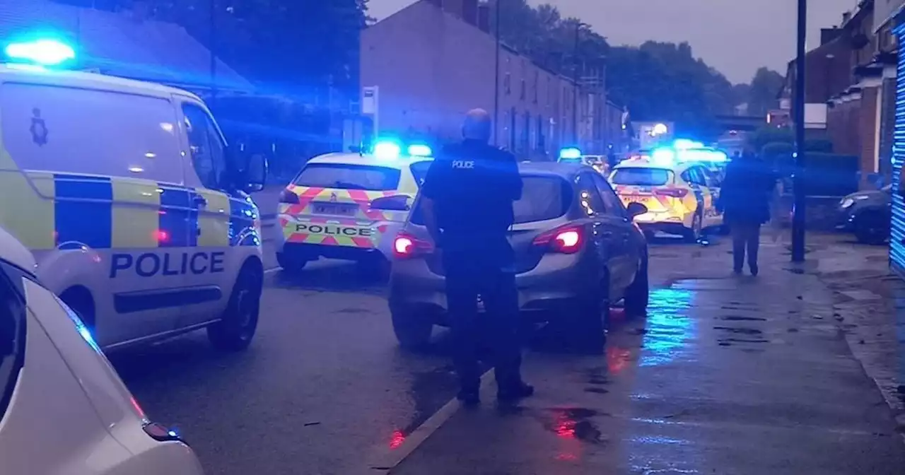 'Screaming' and youths seen 'carted off' as mayhem breaks out after house party