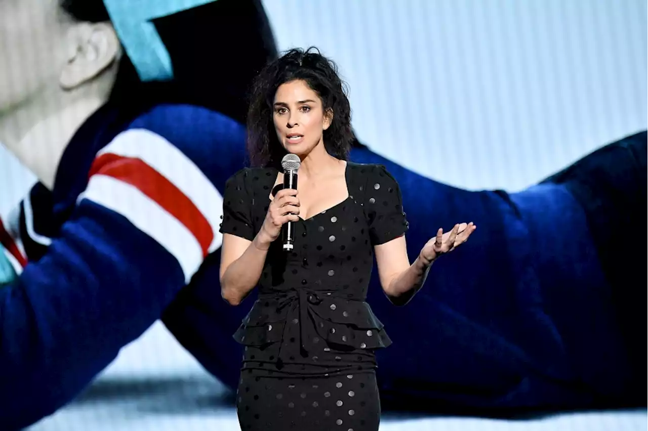 Comedian Sarah Silverman sues Bay Area tech firms over AI book capture