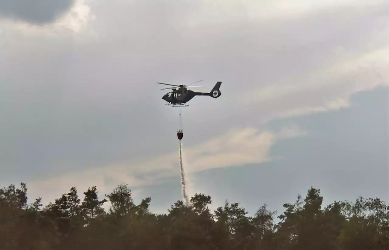 360 Feuerwehrleute löschen einen der größten Waldbrände im Landkreis Schwandorf