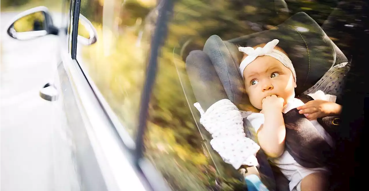 Hitzefalle Auto: Kinder und Tiere nicht im Auto zurücklassen