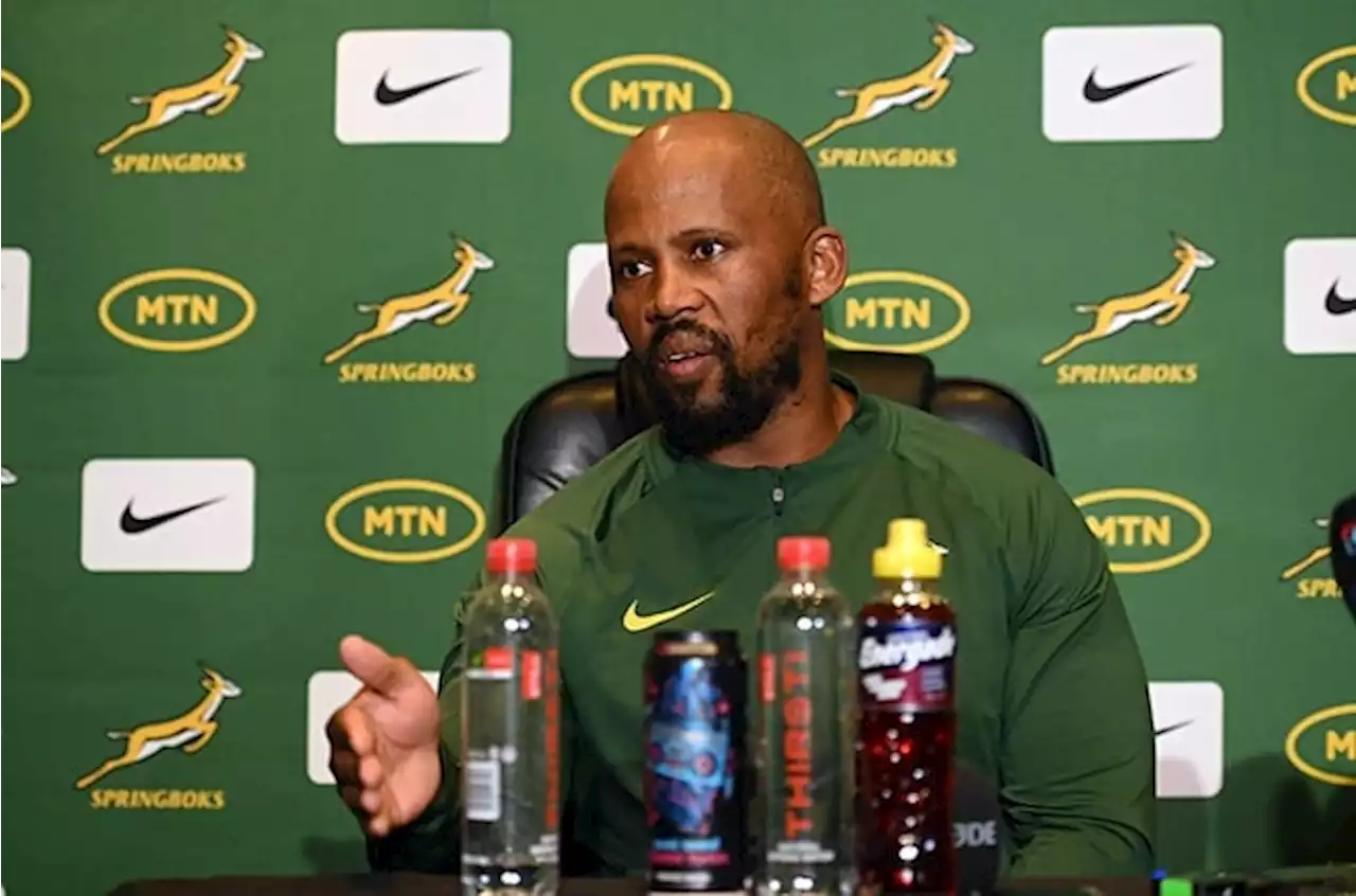 Springboks happy to have selection headache as All Black clash looms | Sport