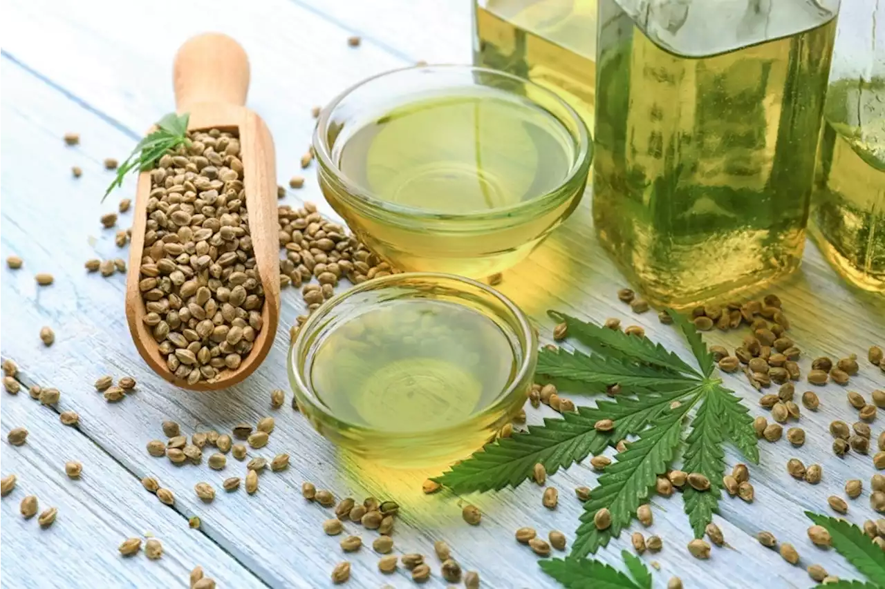 Study investigates the antioxidant activity of hemp leaves