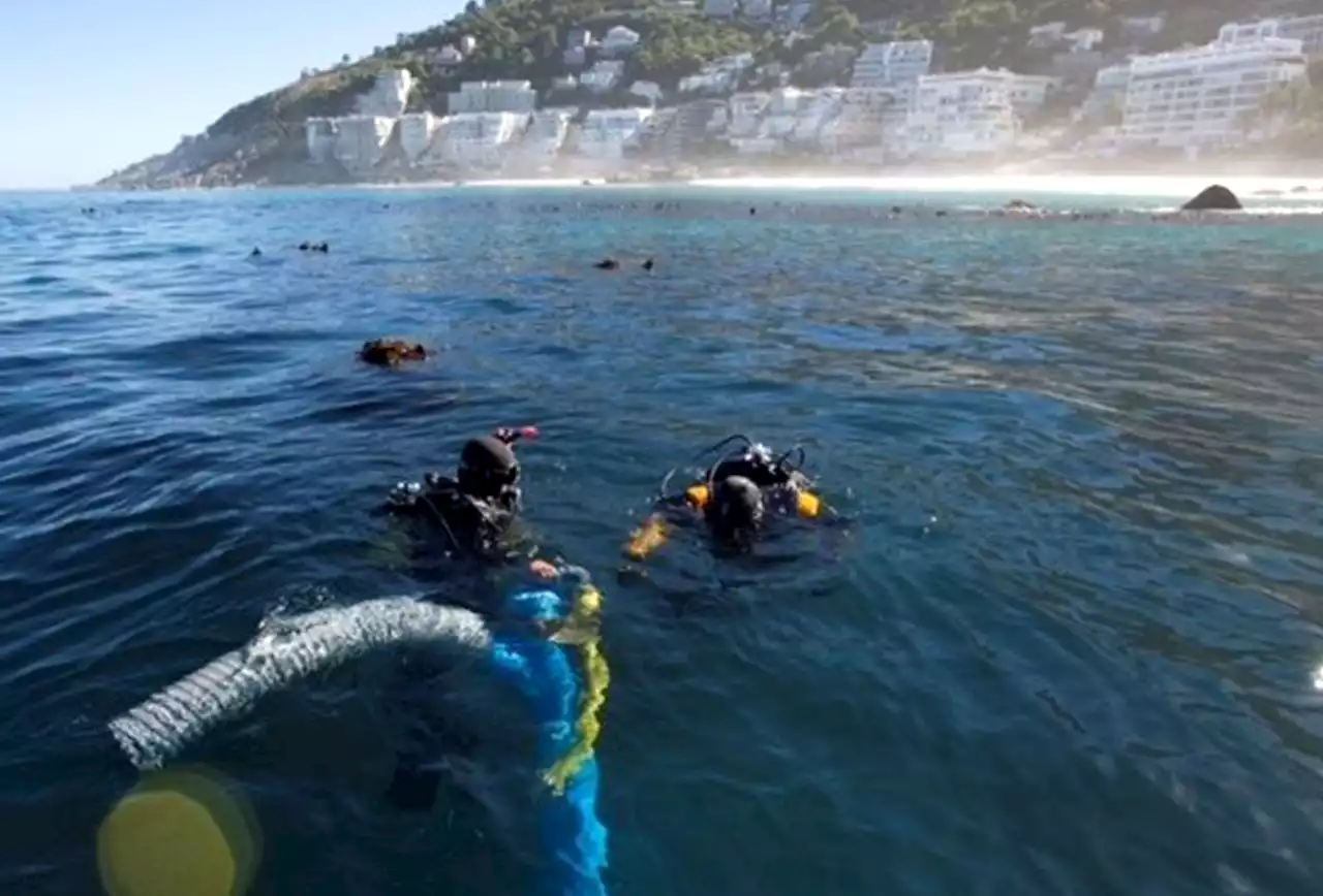 Archaeologists think they've found wreckage of US ship that held 500 slaves