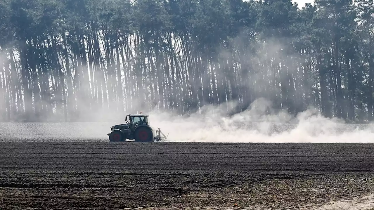 Brandenburg: Reich an Gewässern, arm an Wasser | DI | 11 07 2023 | 18:25