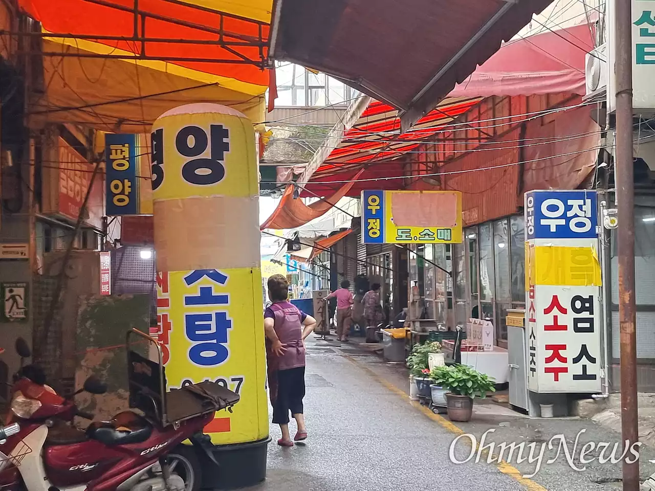 동물보호단체 '마지막 남은 대구 칠성개시장 조속히 폐쇄해야'